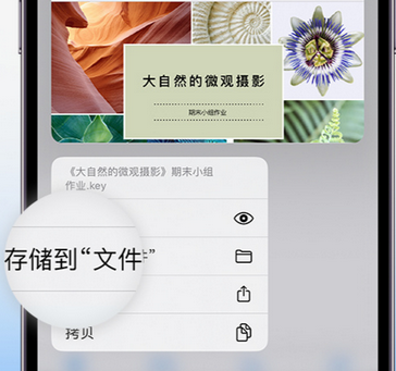 翁田镇apple维修中心分享iPhone文件应用中存储和找到下载文件