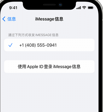 翁田镇apple维修iPhone上无法正常发送iMessage信息 