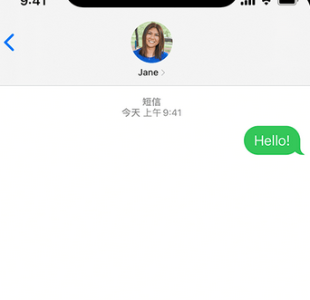 翁田镇apple维修iPhone上无法正常发送iMessage信息