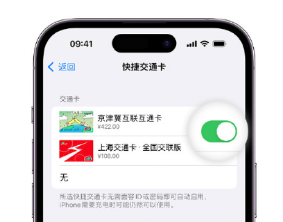 翁田镇apple维修点分享iPhone上更换Apple Pay快捷交通卡手绘卡面 