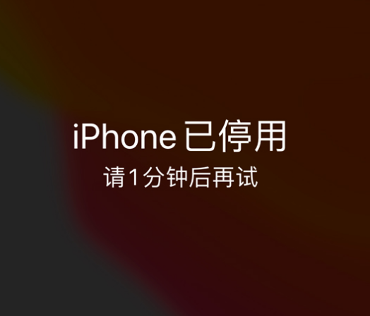 翁田镇苹果手机维修分享:iPhone 显示“不可用”或“已停用”怎么办？还能保留数据吗？ 