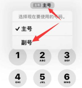 翁田镇苹果14维修店分享iPhone 14 Pro Max使用副卡打电话的方法 