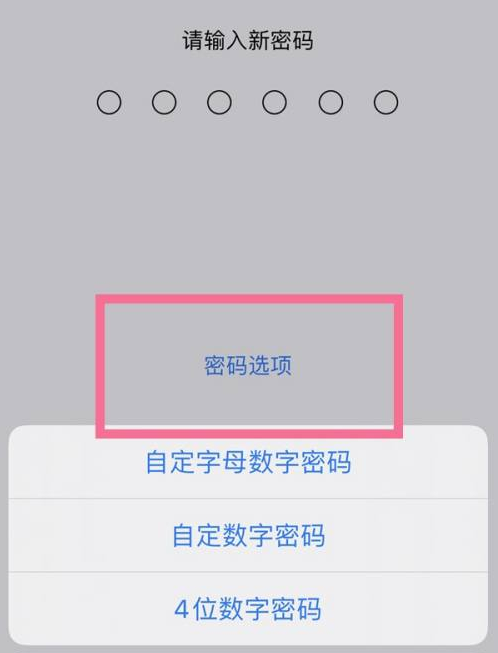 翁田镇苹果14维修分享iPhone 14plus设置密码的方法 