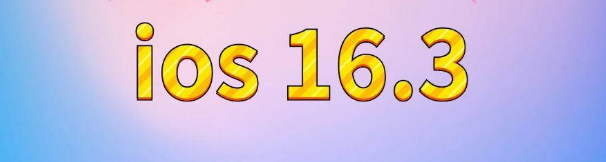 翁田镇苹果服务网点分享苹果iOS16.3升级反馈汇总 