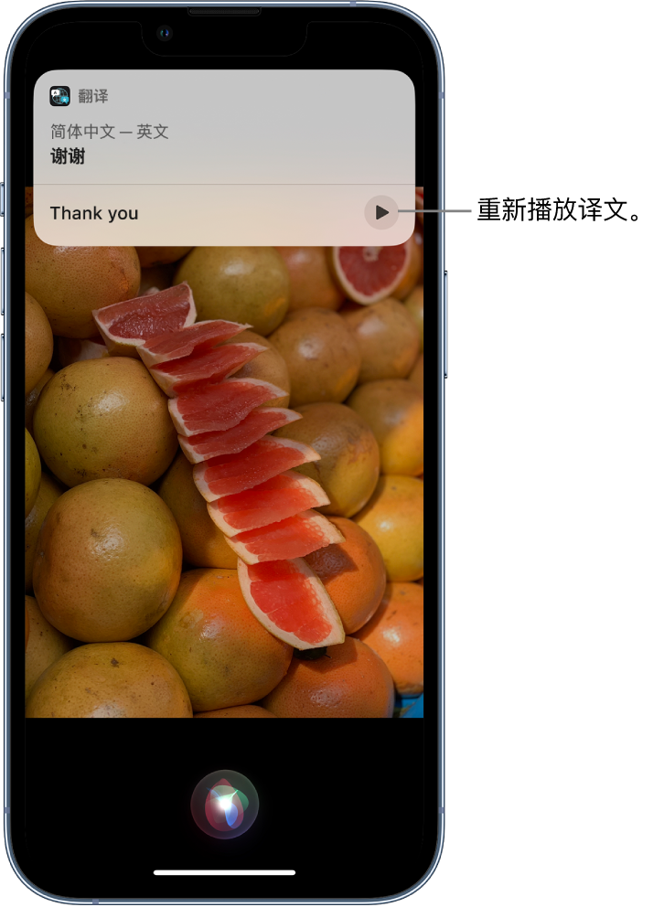 翁田镇苹果14维修分享 iPhone 14 机型中使用 Siri：了解 Siri 能帮你做什么 