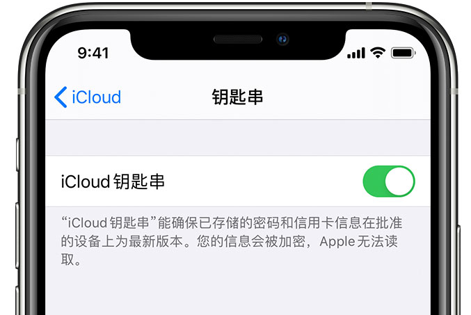 翁田镇苹果手机维修分享在 iPhone 上开启 iCloud 钥匙串之后会储存哪些信息 