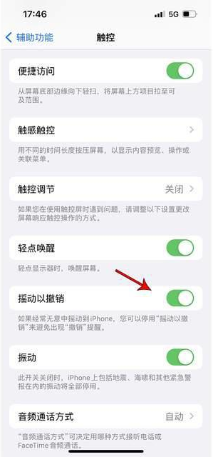 翁田镇苹果手机维修分享iPhone手机如何设置摇一摇删除文字 