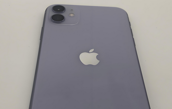 翁田镇苹果11系统维修分享iPhone11手机系统崩溃无法开机如何解决